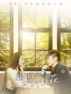 谁动了我的校花免费在线观看