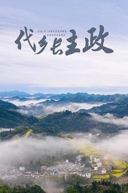 代乡长主政免费在线观看