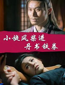 小旋风柴进之丹书铁券免费在线观看