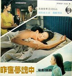 昨夜梦魂中免费在线观看