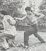 铁指唐手免费在线观看
